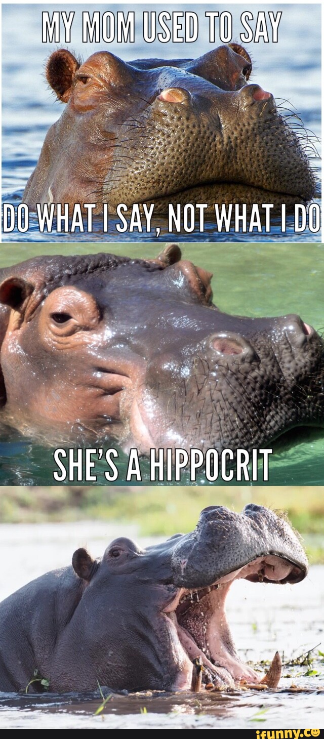 Hippocrit memes. Best Collection of funny Hippocrit pictures on iFunny