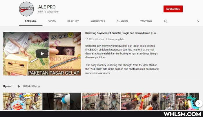 ALE PRO
BERANDA KOMUNITAS 'CHANNEL TeNTANG Q >
Usborng Monyet Sumatra, tragls dan menyedikan
Unboring bay FACEBOOK monyet dalam yang saya keterangan dan dar lapak gelap teat stus
FACEBOOK dan sehat dalam top keterangan dan foto nya teat nermal dan sehat top seteoh kam unboning keadanya an menyeainan,
'The the baby monkey FACEBOOK unboxing site that caption Bought from the dack salon the FACEBOOK site nthe caption ana photo loaked normal
Upload PuTARSEMUA