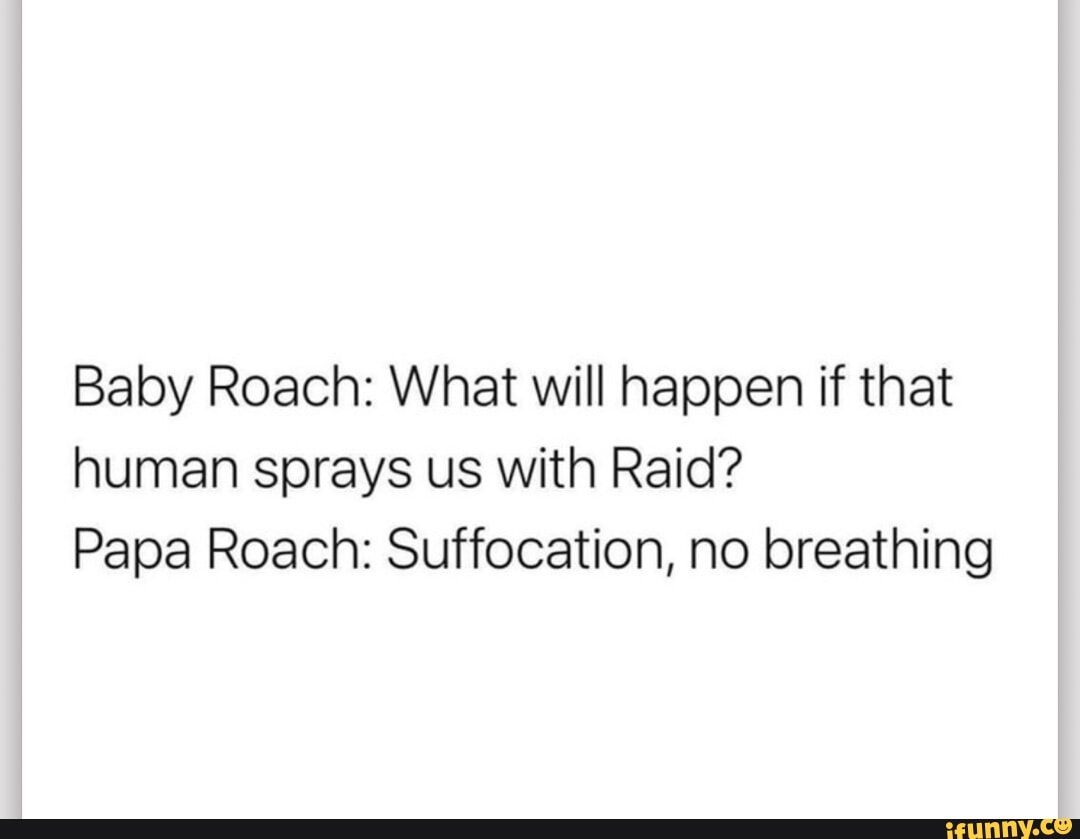 Baby Roach: What will happen if that human sprays us with Raid? Papa Roach:  Suffocation, no breathing - iFunny, image size:1080x839