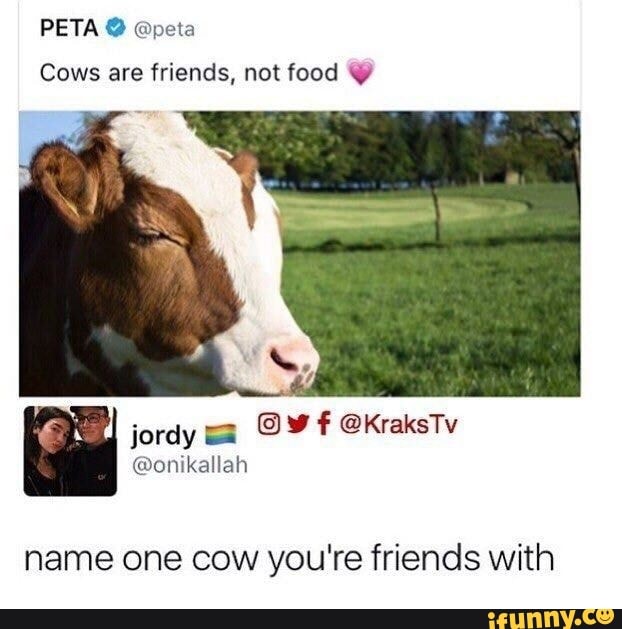 PETA Cows are friends, not food name one cow you're friends with - iFunny