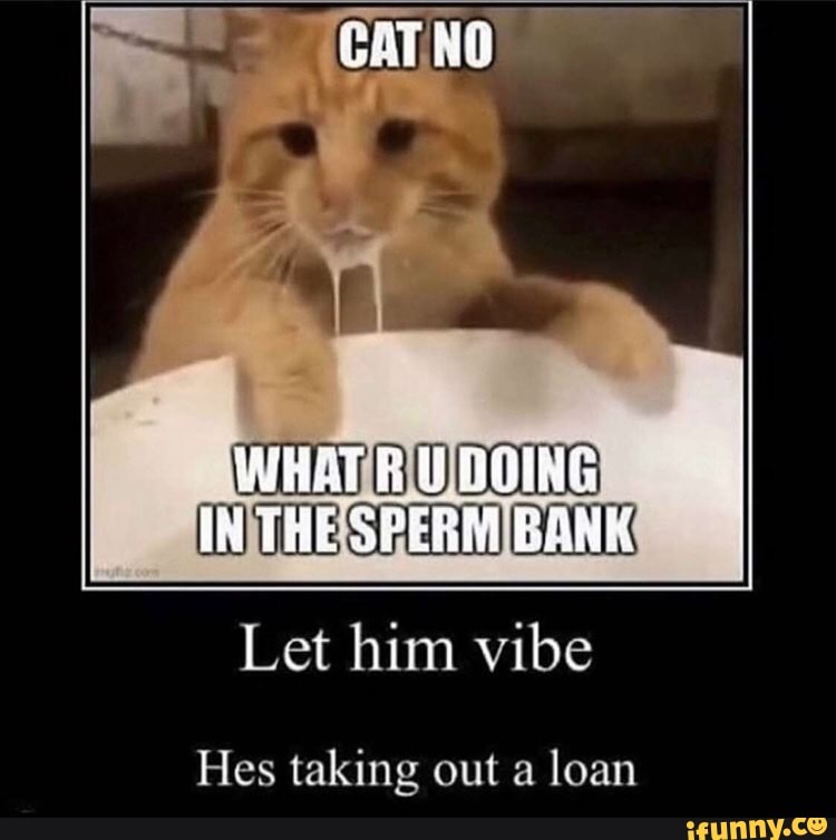 WHAT DOING
THE SPERM
Let him vibe
Hes taking out a loan
