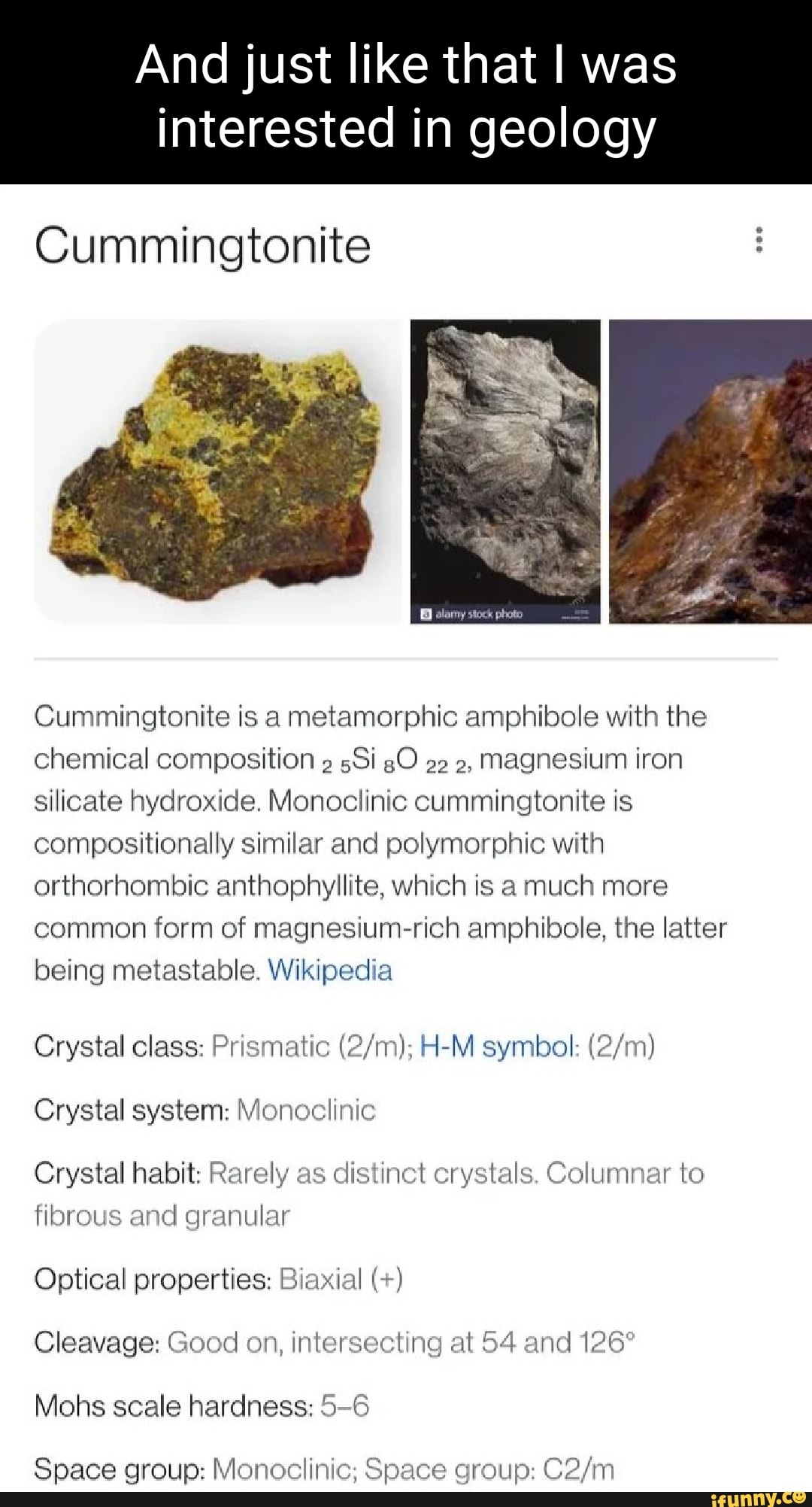 Anthophyllite memes. Best Collection of funny Anthophyllite pictures on ...