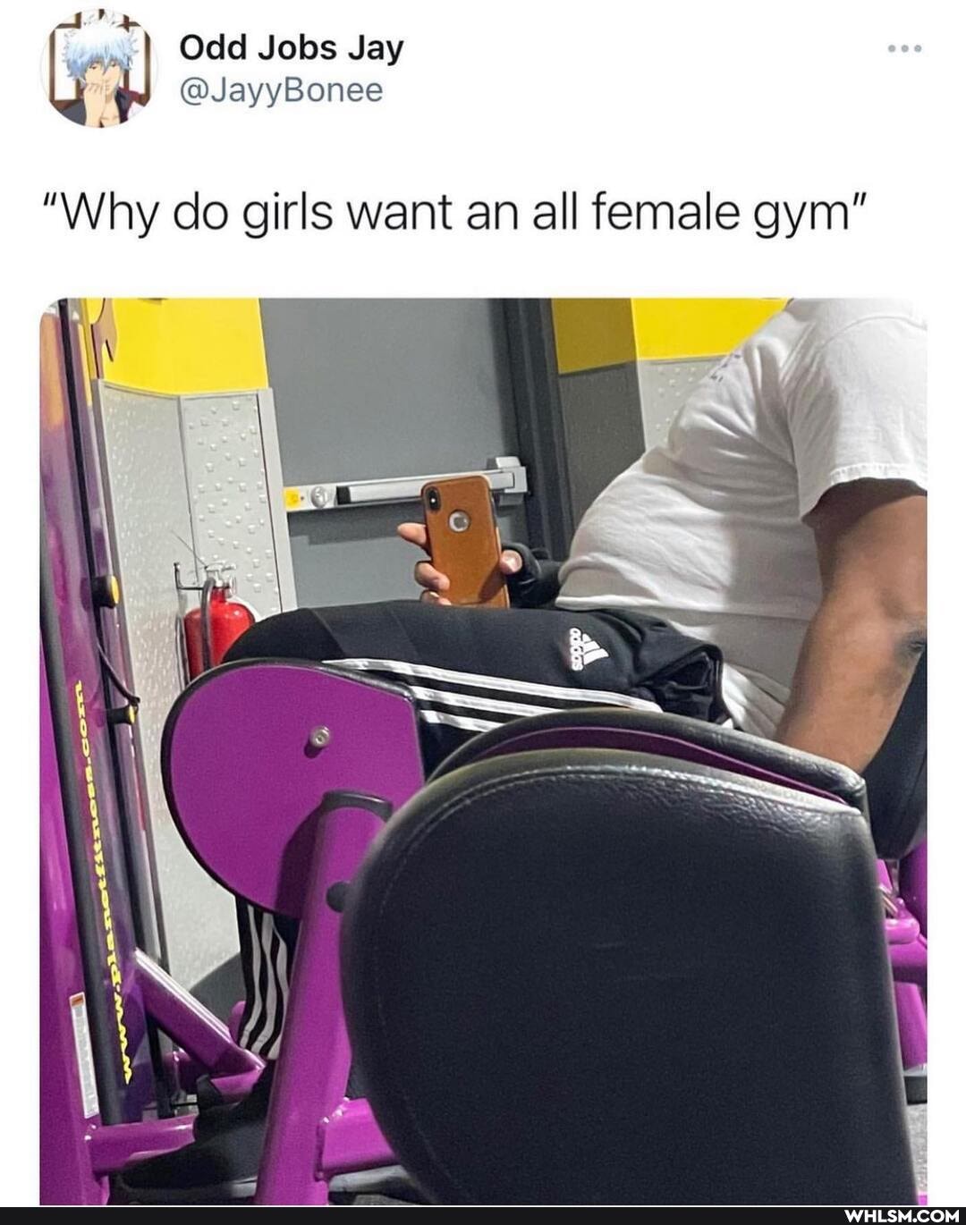 ny Odd Jobs Jay
@JayyBonee
"Why do girls want an all female gym"