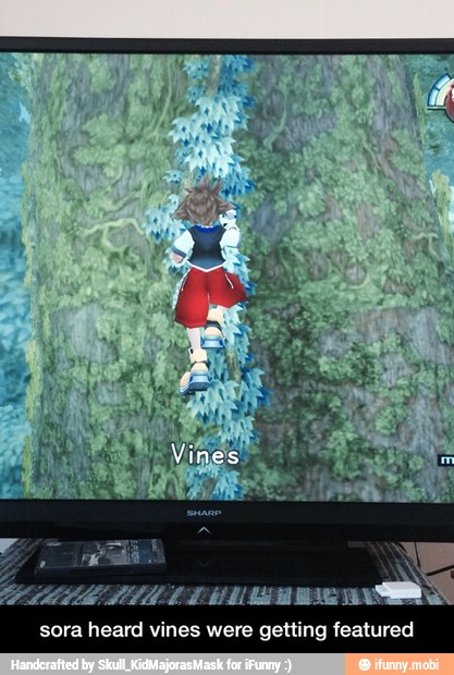 sora heard vines were getting featured - sora heard vines were getting featured