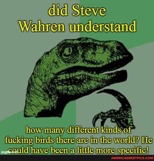 didi
Steve undemstanel
birds Mere in