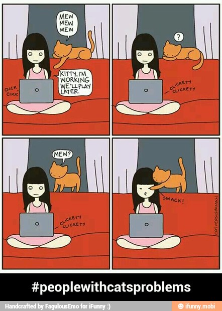 #peoplewithcatsproblems - #peoplewithcatsproblems