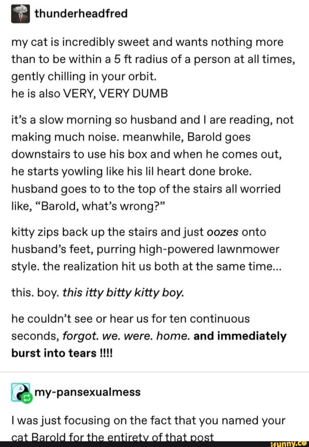 my cat is incredibly sweet and wants nothing more
than to be within a 5 ft radius of a person at all times,
gently chilling in your orbit.
he is also VERY, VERY DUMB
it's a slow morning so husband and I are reading, not
making much noise. meanwhile, Barold goes
downstairs to use his box and when he comes out,
he starts yowling like his lil heart done broke.
husband goes to to the top of the stairs all worried
like, "Barold, what's wrong?"
kitty zips back up the stairs and just oozes onto
husband's feet, purring high-powered lawnmower
style. the realization hit us both at the same time...
this. boy. this itty bitty kitty boy.
he couldn't see or hear us for ten continuous
seconds, forgot. we. were. home. and immediately
I
e) my-pansexualmess
I was just focusing on the fact that you named your
cat Barold for the entirety of that nost