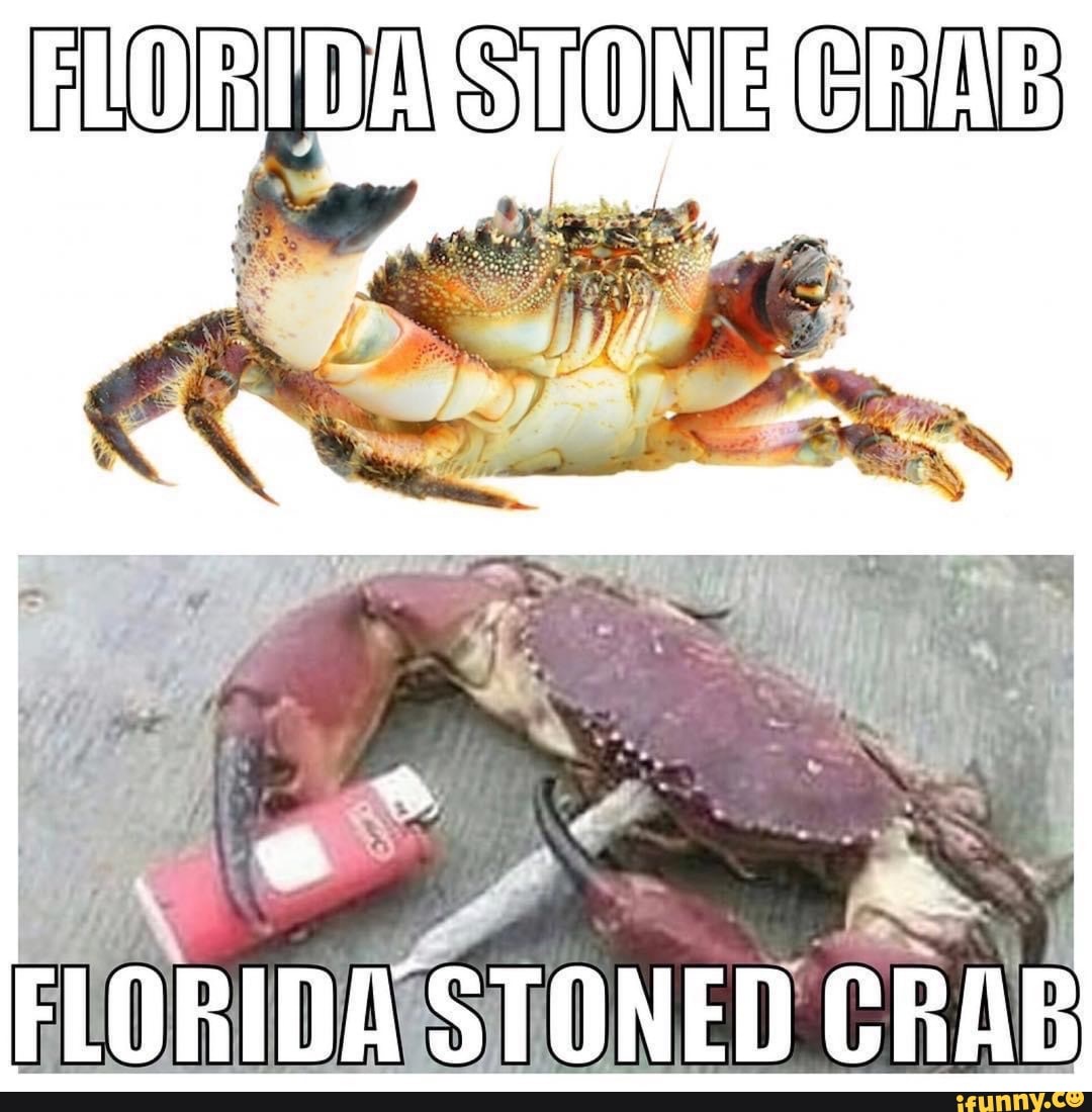 ORA STONE GIRA