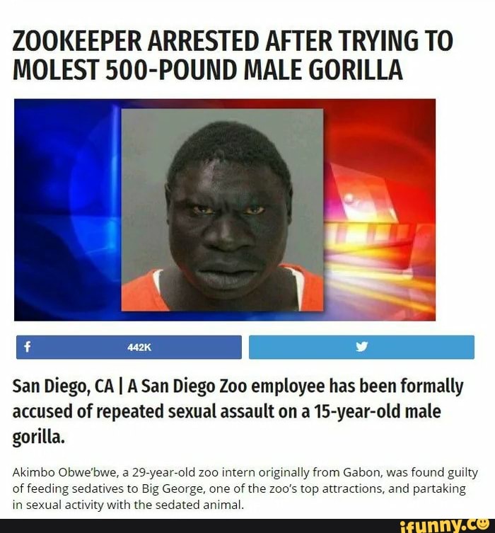 ZOOKEEPER ARRESTED AFTER TRYING TO MOLEST 500-POUND MALE GORILLA San Diego,  CA I A San Diego