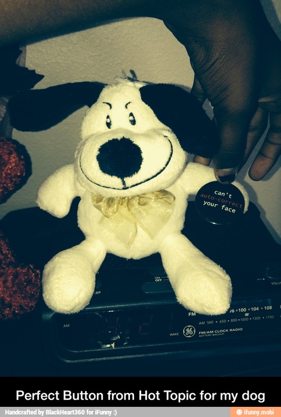 Perfect Button from Hot Topic for my dog - Perfect Button from Hot Topic for my dog
