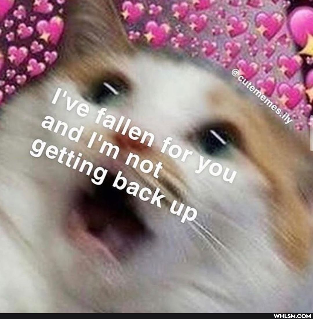 Ang 'ala
'ip, SN o no