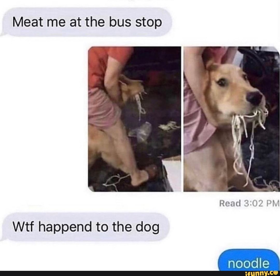 Meat me at the bus stop
Read PM
Wtf happend to the dog
noodle