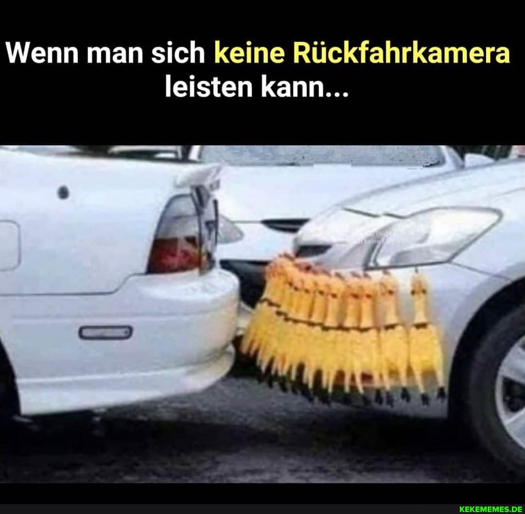 Wenn man sich keine Rückfahrkamera leisten kann...