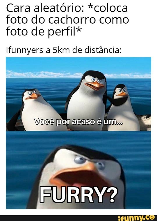 Cara aleatório: *coloca foto do cachorro como foto de perfil*
Hunnyers a Skm de distância:
Mioce por acaso é um...
FURRY?