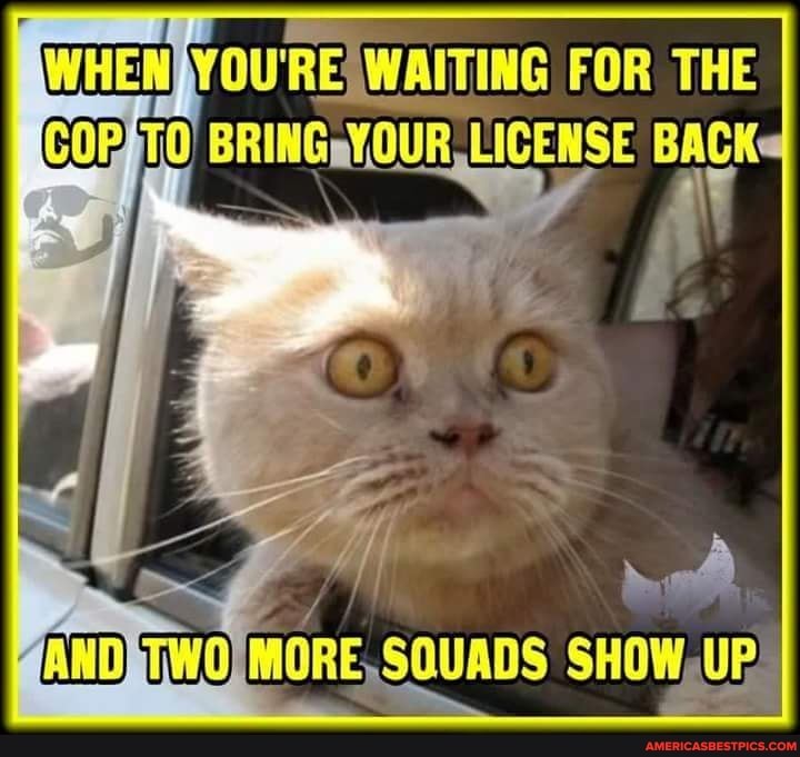 WHEN AY OU'RE: WAITING FOR THE
OUR
IANDETWOIMORE, SQUADS SHOW,UP!