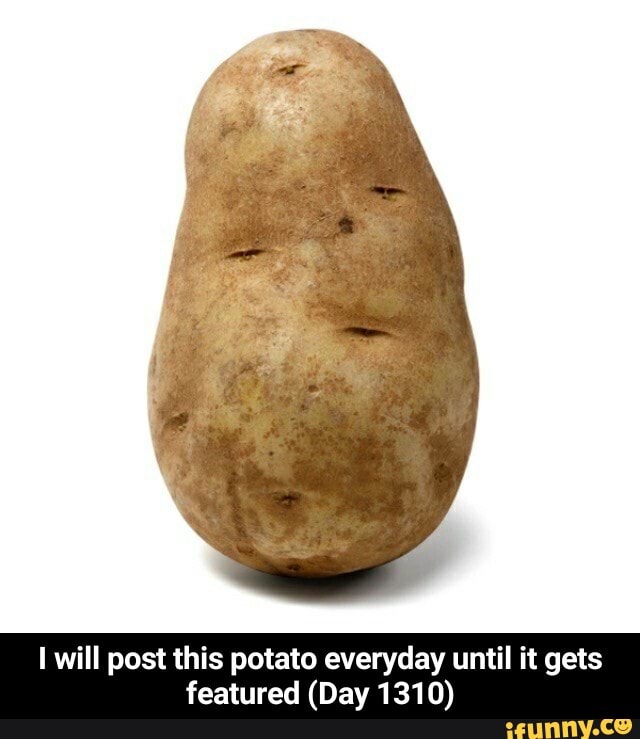 I will post this potato everyday until it gets featured (Day 1310) - I ...