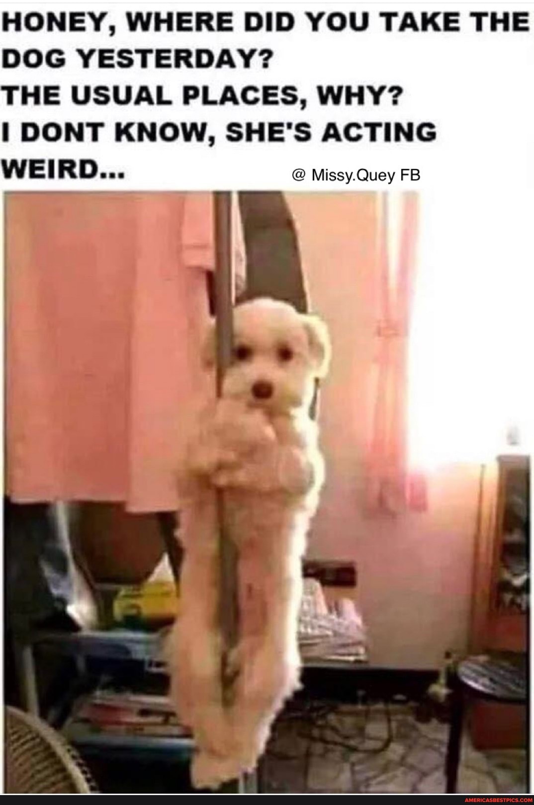 HONEY, WHERE DID YOU TAKE THE
DOG YESTERDAY?
THE USUAL PLACES, WHY?
I DONT KNOW, SHE'S ACTING
