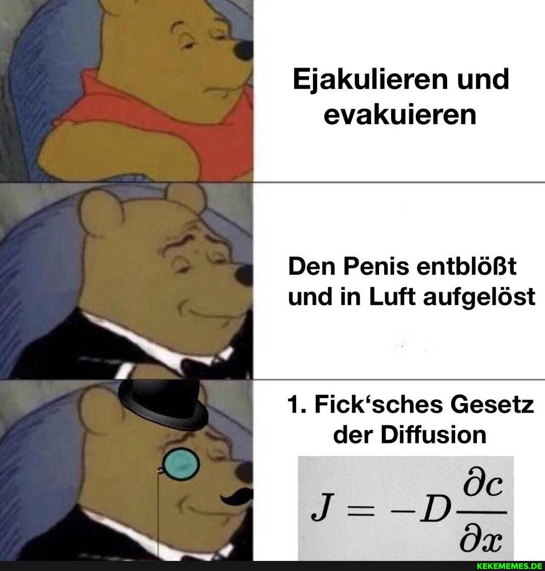 Ejakulieren und evakuieren
Den Penis entblößt
und in Luft aufgelöst
1. Fick'sches Gesetz der Diffusion