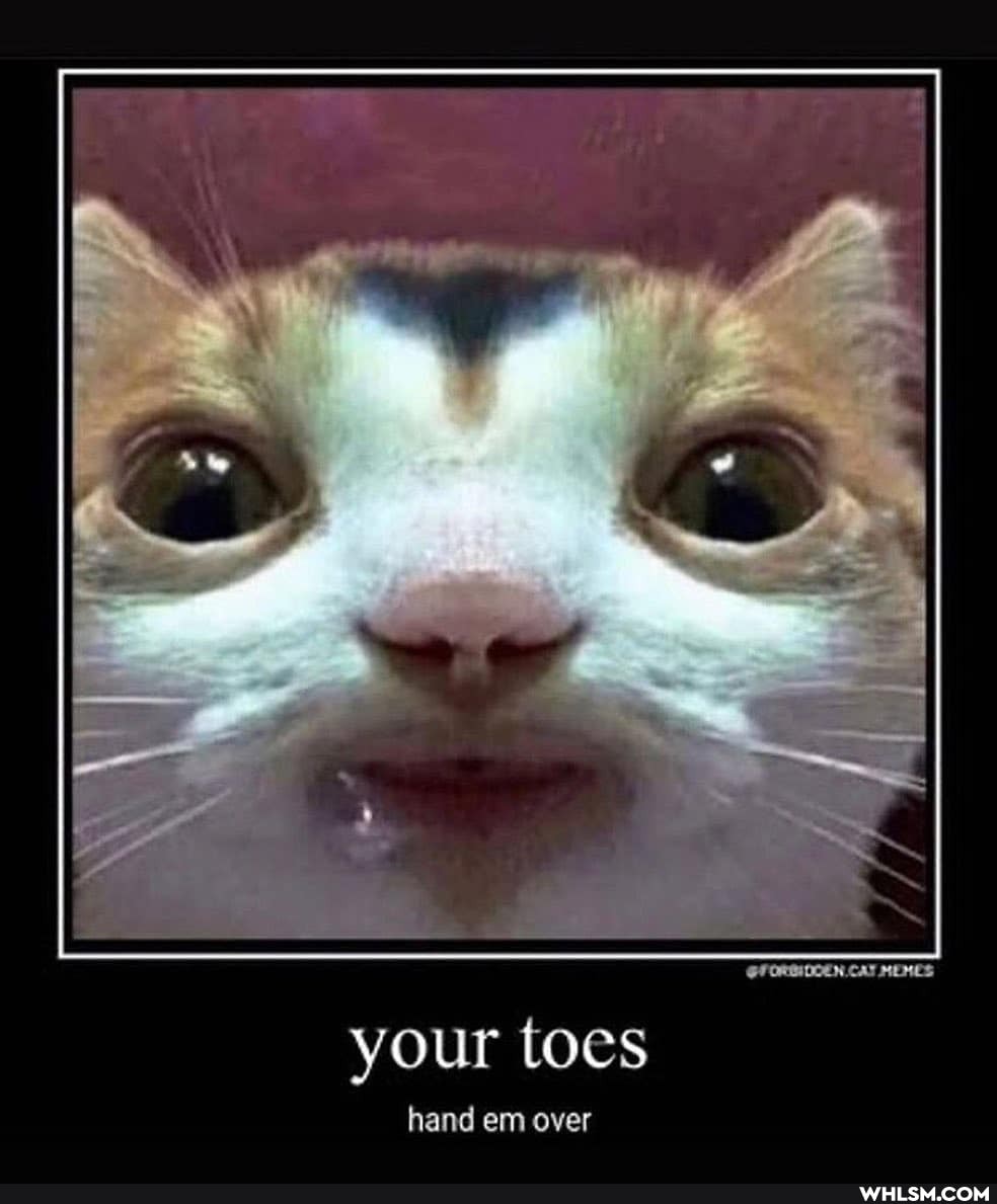 your toes
hand em over