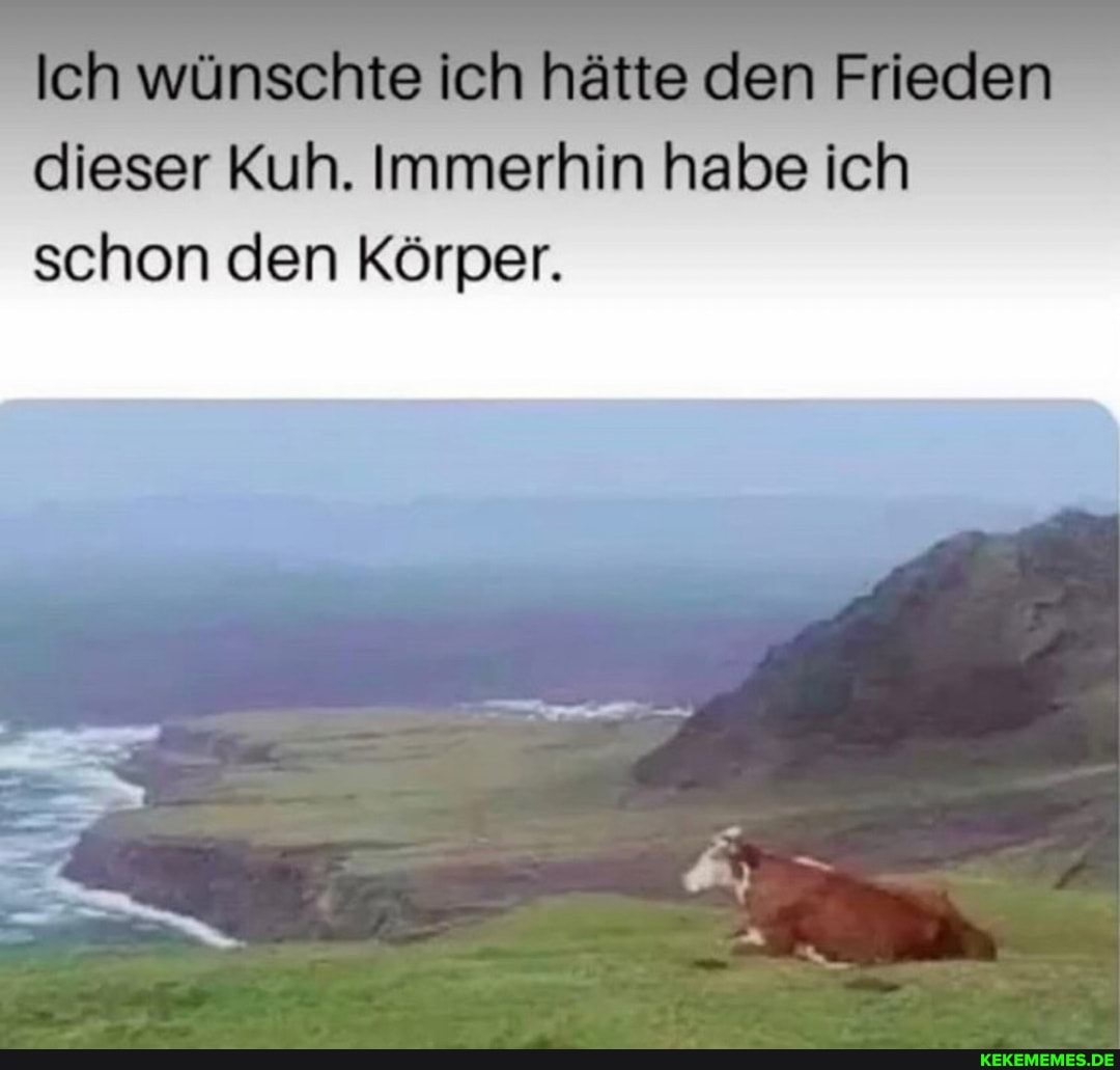 wünschte ich hätte den Frieden dieser Kuh. Immerhin habe ich schon den Körper.