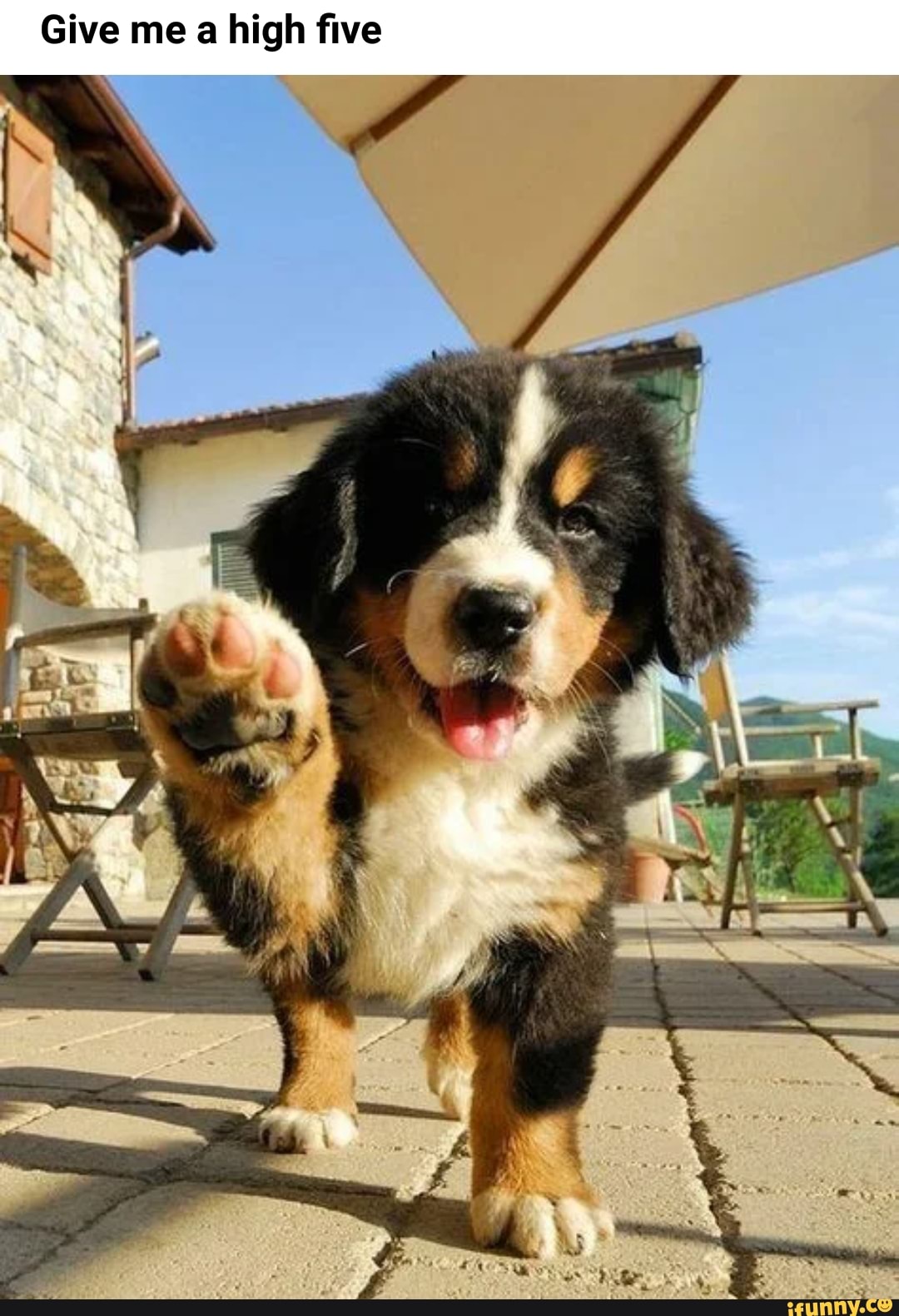 Give me a high five