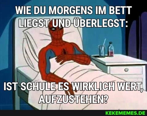 WIE DU MORGENS IM BETT LIEGST UND ÜBERLEGST:
IST SCHULE ES WIRKLICH WERT,
AUFZUSTEHEN?