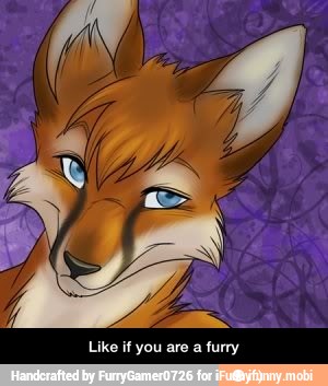 Like if you are a furry