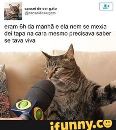 a
eram 6h da manhã e ela nem se mexia
dei tapa na cara mesmo precisava saber
se tava viva