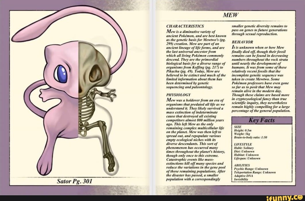 Bone Mew CHARACTERISTICS Mew isa diminutive variety of 'ancient Pokmon, and are ...