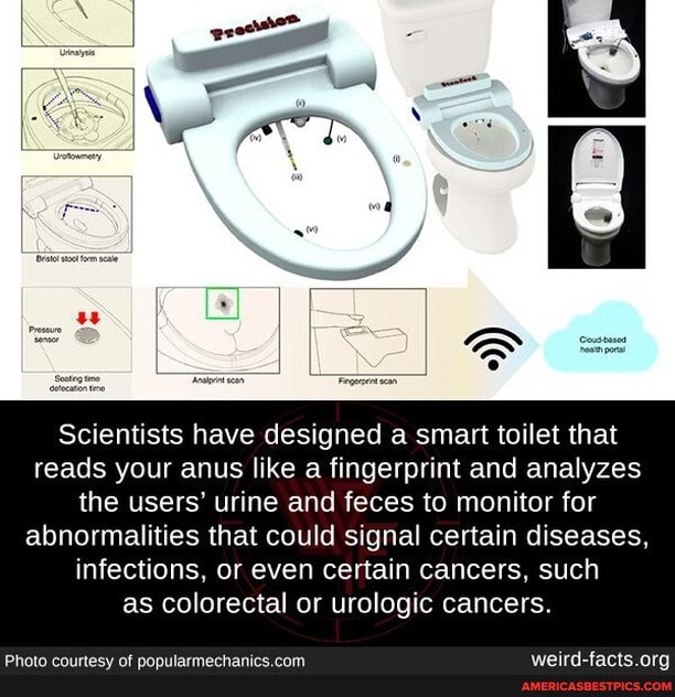 Scientists have designed a smart toilet that reads your anus like a