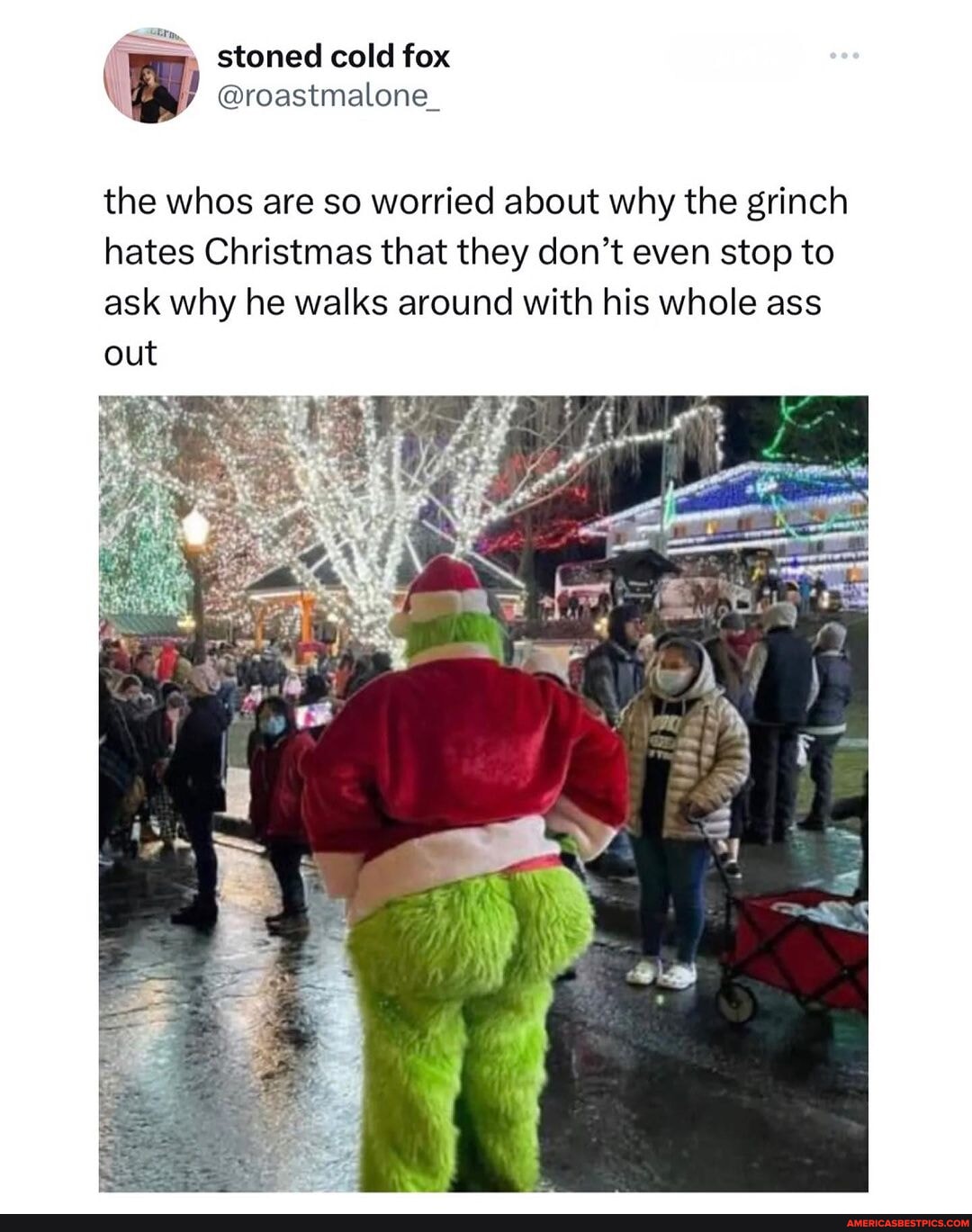 How the Grinch stole thiccmas (Twitter: roastmalone_) - stoned cold fox ...