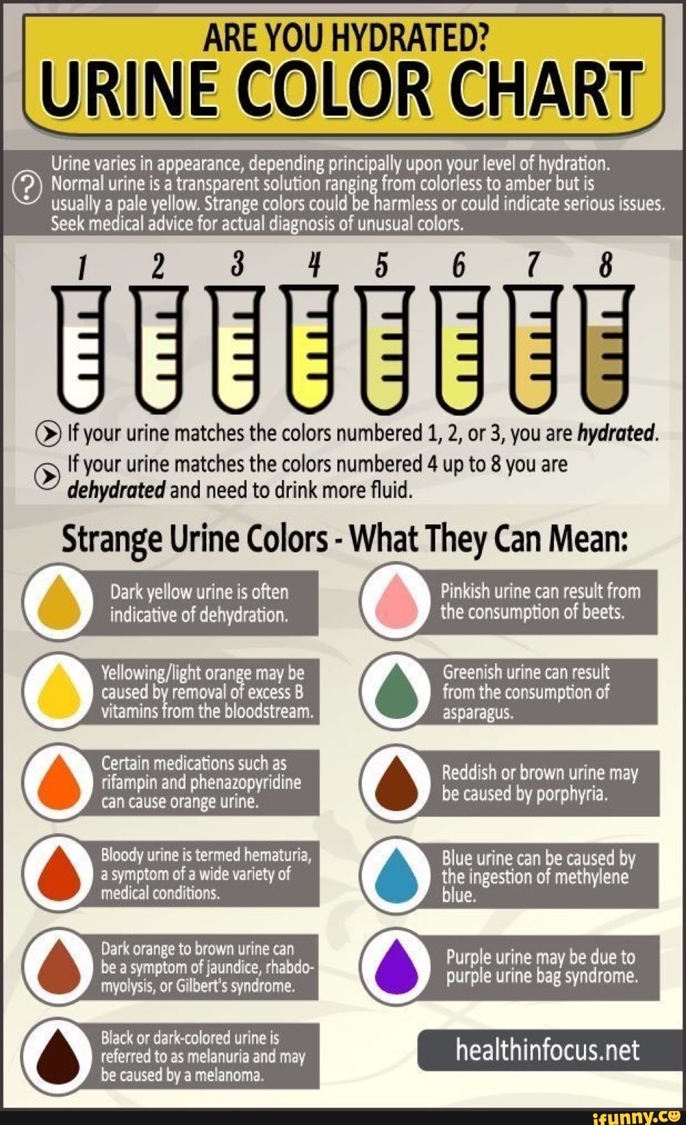 Are You Hydrated? Urine Color Chart Urine Varies In Appearance 