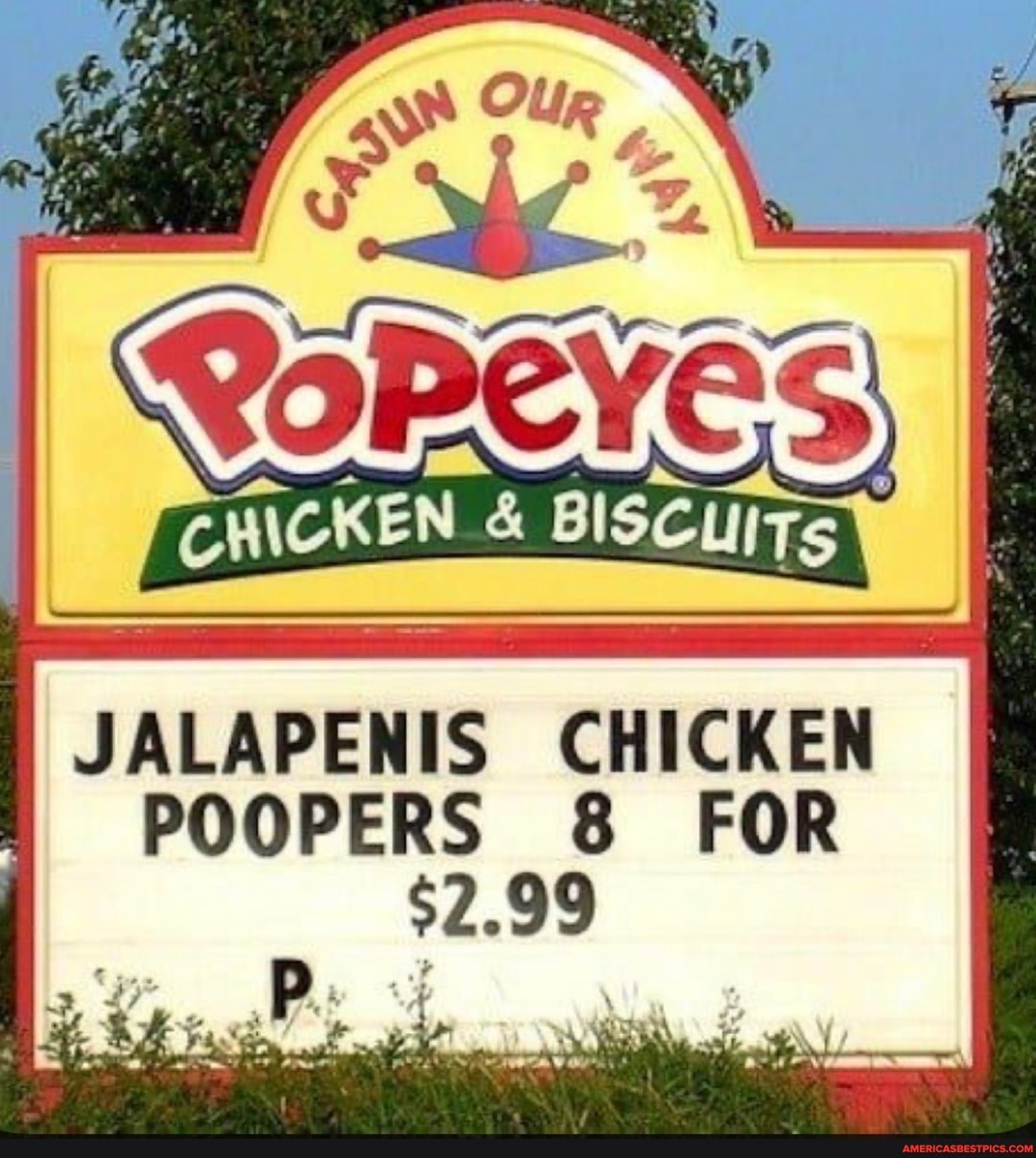 JALAPENIS CHICKEN