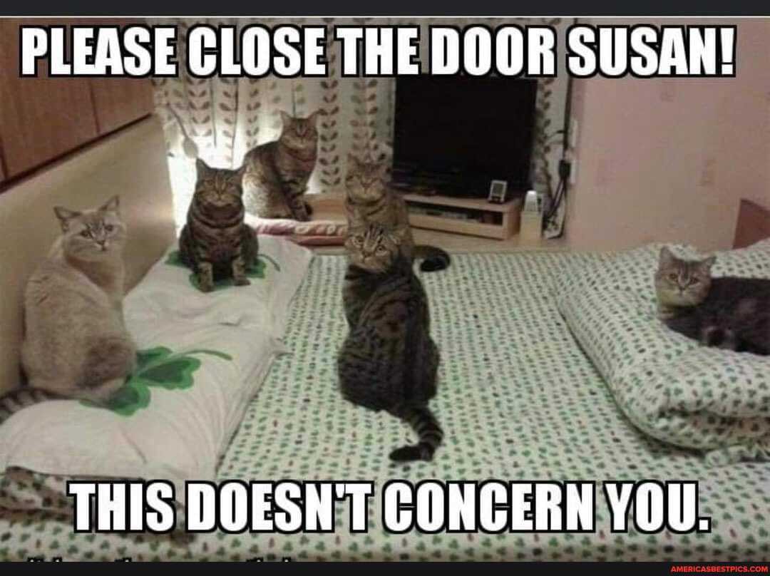 PLEASE GLOSE THE DOOR SUSAN!
THIS DOESN'T CONCERN YOU.