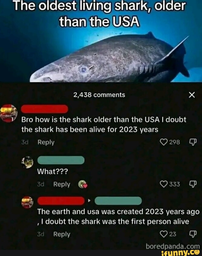 the-oldest-than-the-usa-2-438-comments-x-bro-how-is-the-shark-older