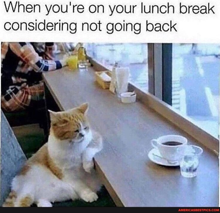 When you're on your lunch break considering not going back