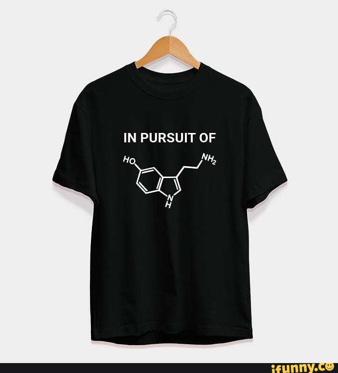 IN PURSUIT OF