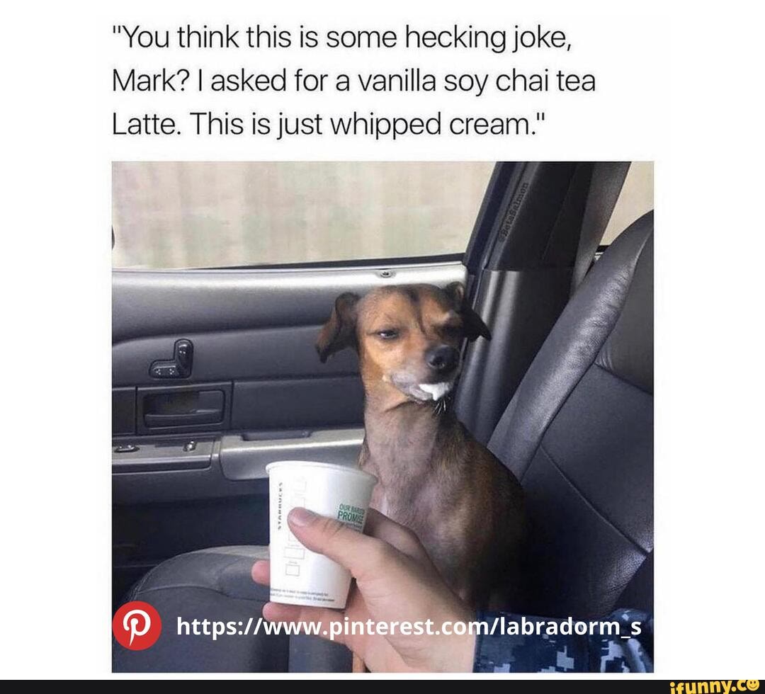 Omg "You think this is some hecking joke, Mark? I asked for a vanilla