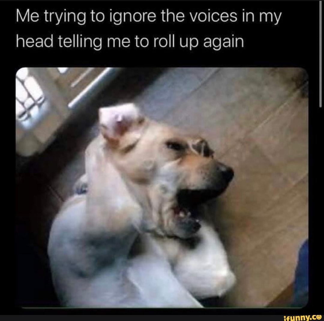 Me trying to ignore the voices in my head telling me to roll up again