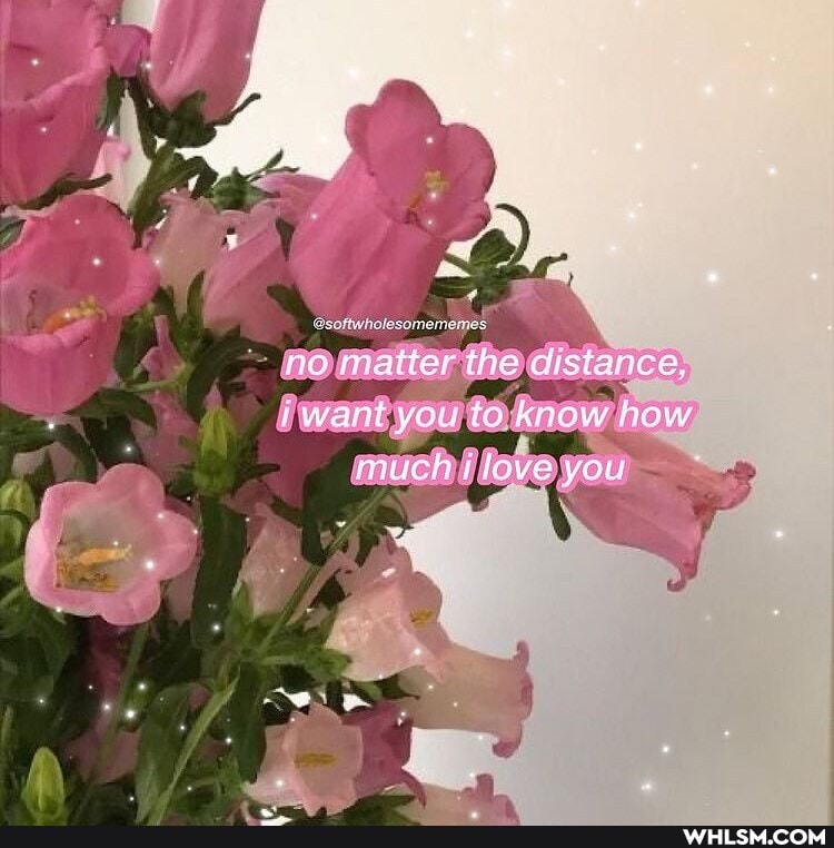 noomatter the stance, awantyou to Anow how
much love you