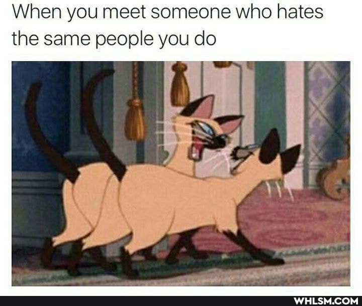 When you meet someone who hates the same people you do