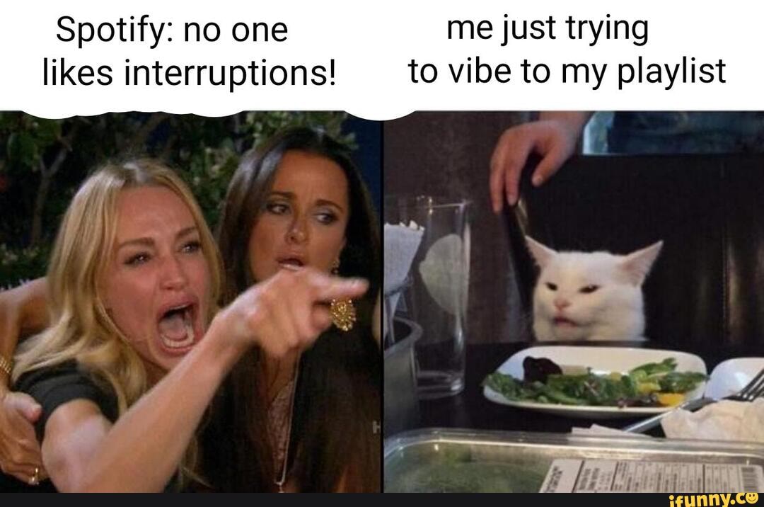 Spotify: no one me just trying likes interruptions! to vibe to my playlist