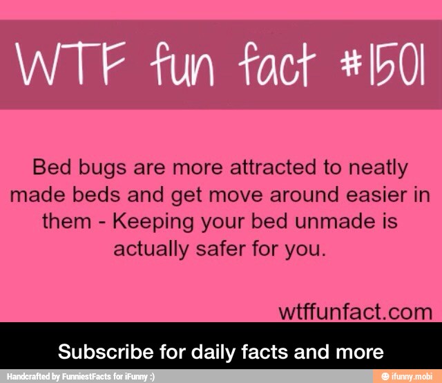 Bed bugs are more attracted to neatly
made beds and get move around easier in
them
Keeping your bed unmade is
actually safer for you.
wtffunfact.com
Subscribe for daily facts and more - Subscribe for daily facts and more