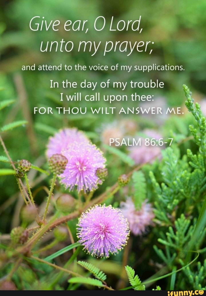 Give Ear O Lord Unto My Prayer And Attend To The Voice Of My give-ear-o-lord-unto-my-prayer-and-attend-to-the-voice-of-my