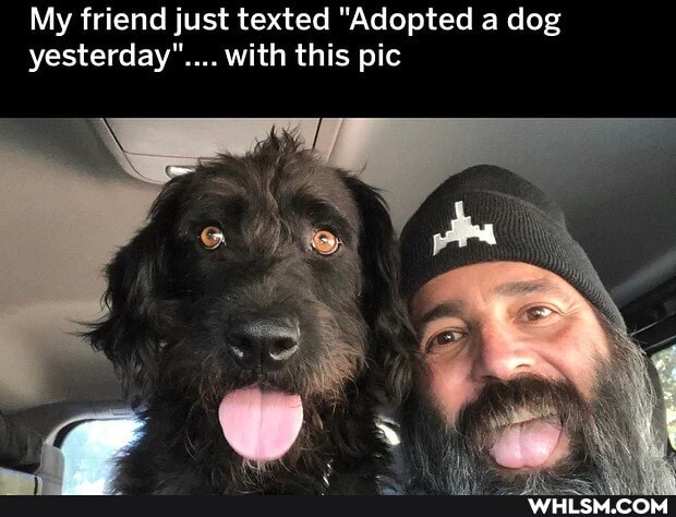 My friend just texted "Adopted a dog yesterday".... with this pic