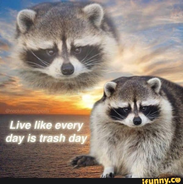 Live like every day is trash day iFunny