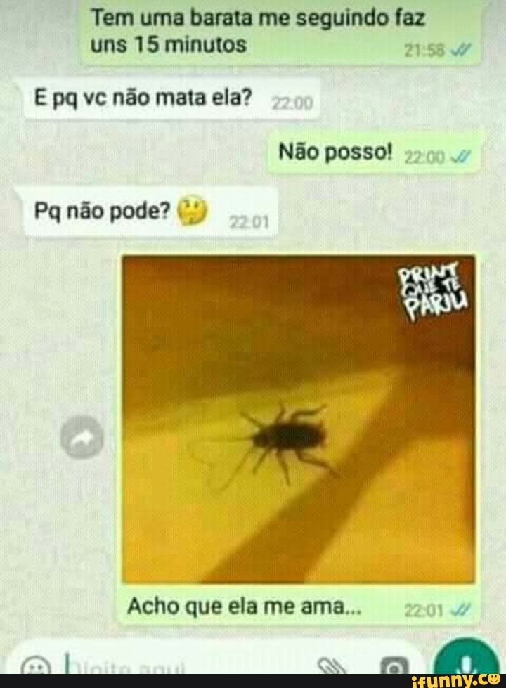 Tem uma barata me seguindo faz
uns 15 minutos
2158 W
E pq vc não mata ela?