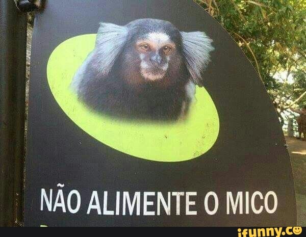 "NÃO ALIMENTE O MICO