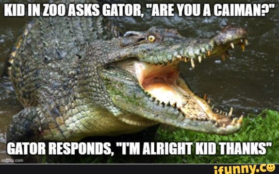 Caimans memes. Best Collection of funny Caimans pictures on iFunny