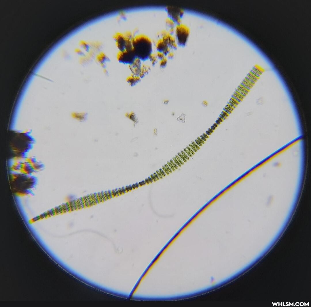 interesting, science, nature, woooo